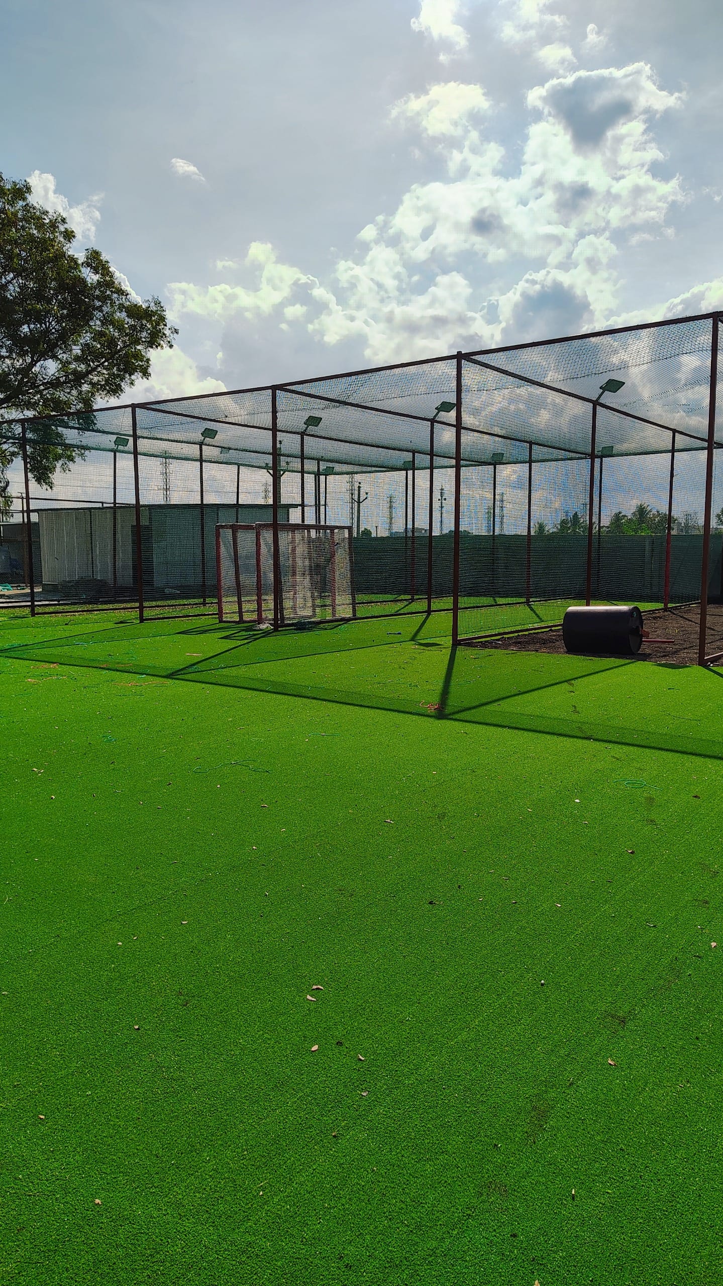 Play N Thrive Sports