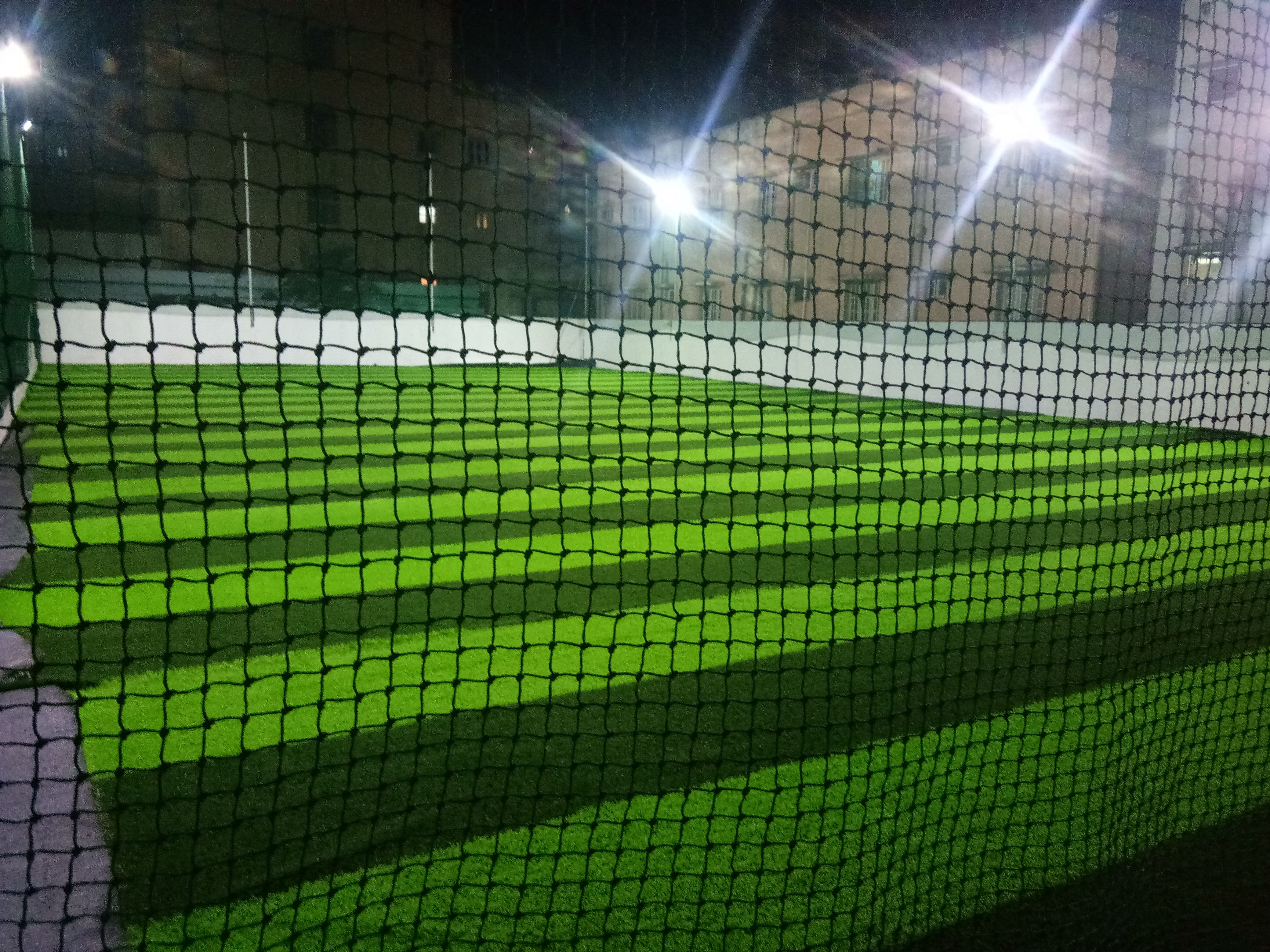 Turf photo 5