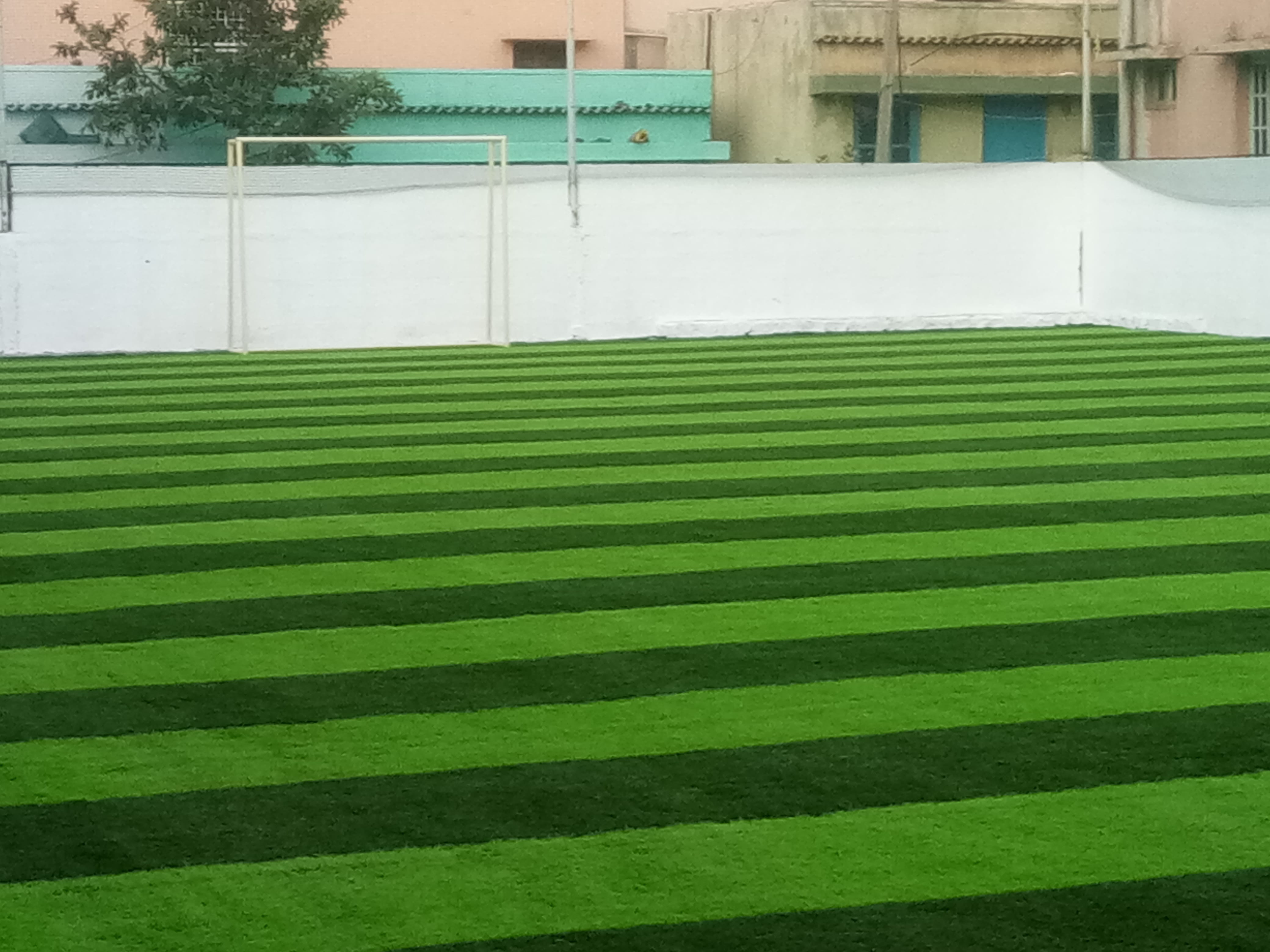 Turf photo 6