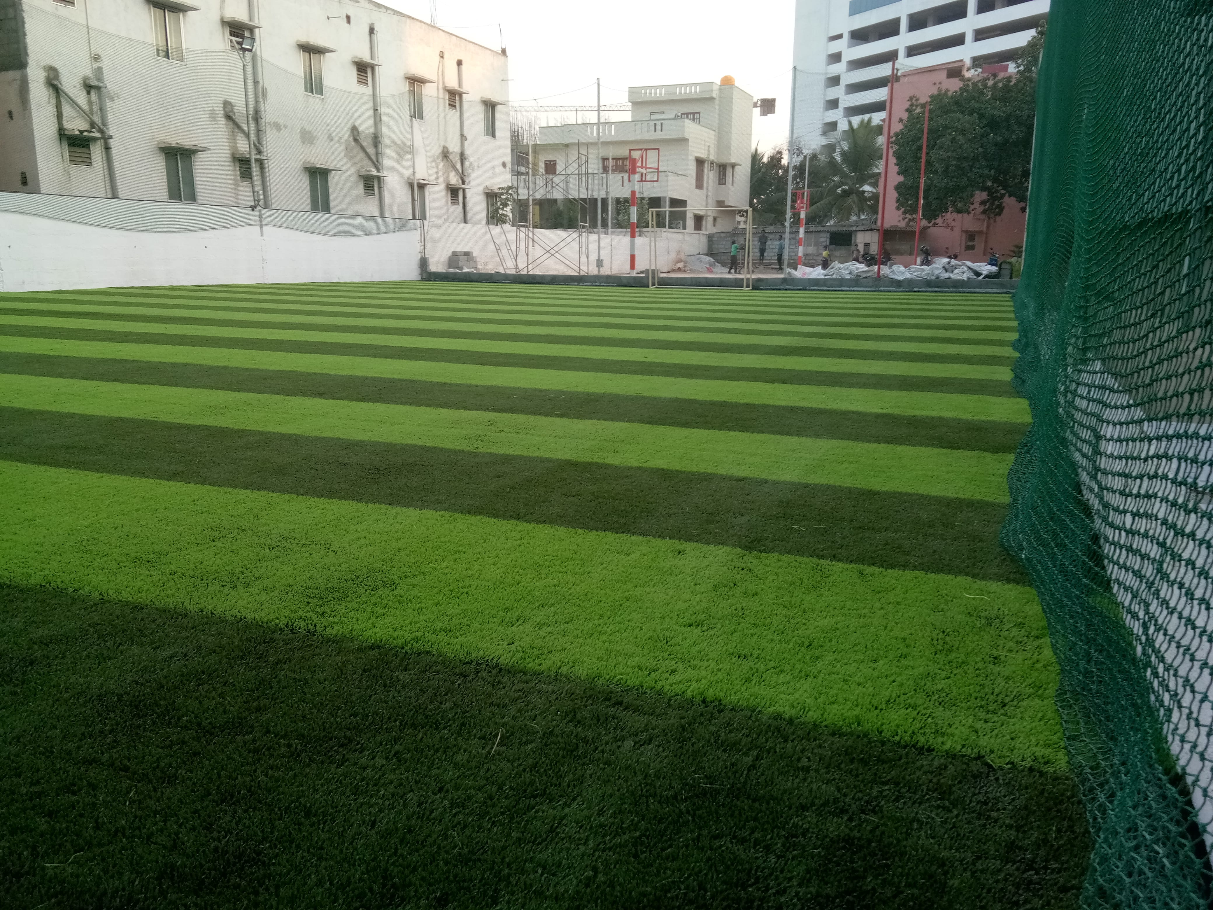 Turf photo 7