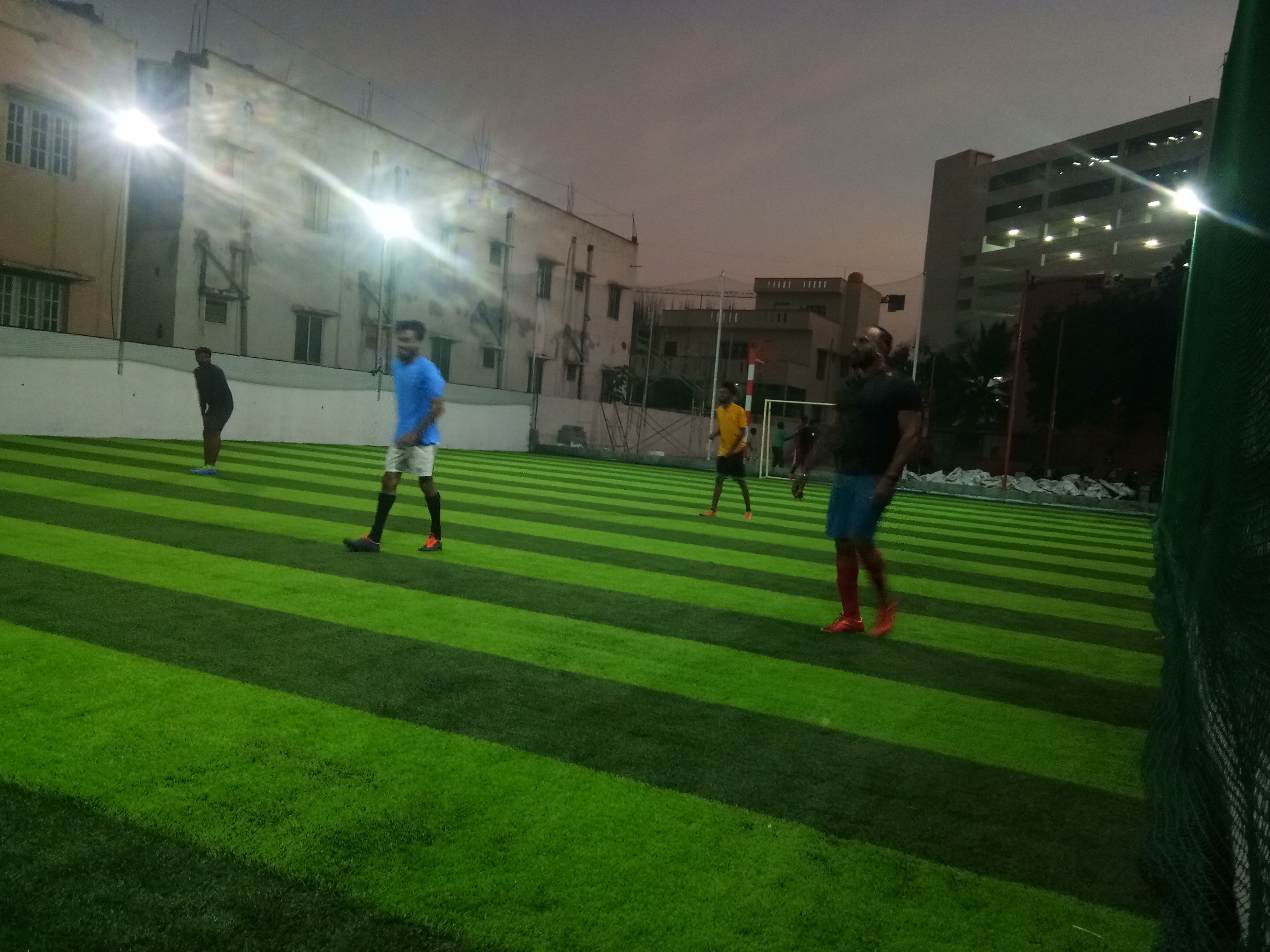 Turf photo 9