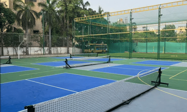 PlayPlex Pickleball Club