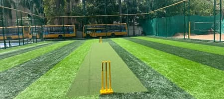 PlayPlex Turf