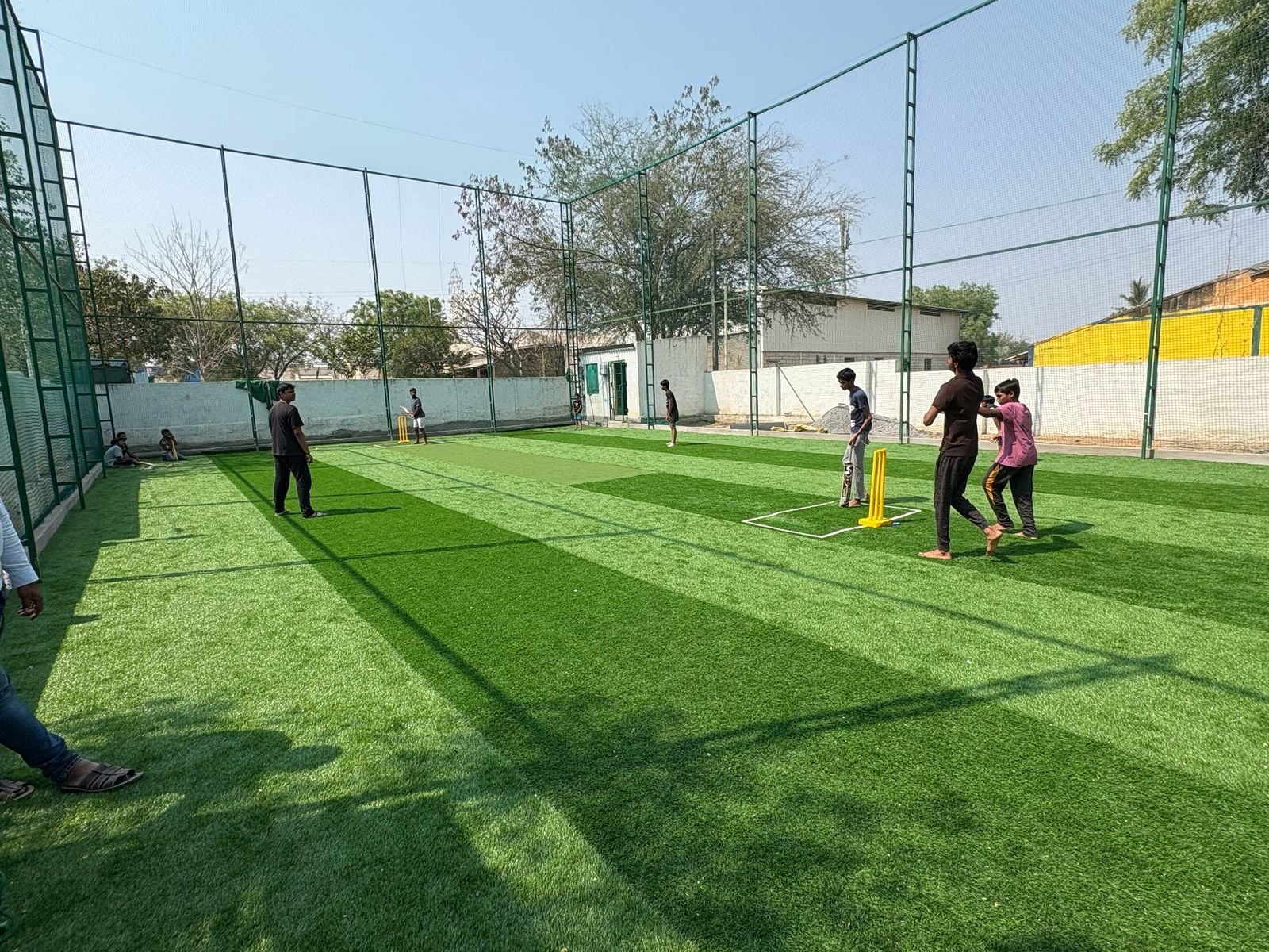 Turf photo 5