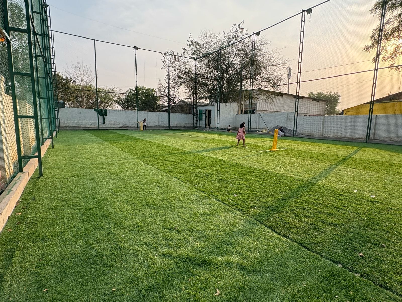 Turf photo 6