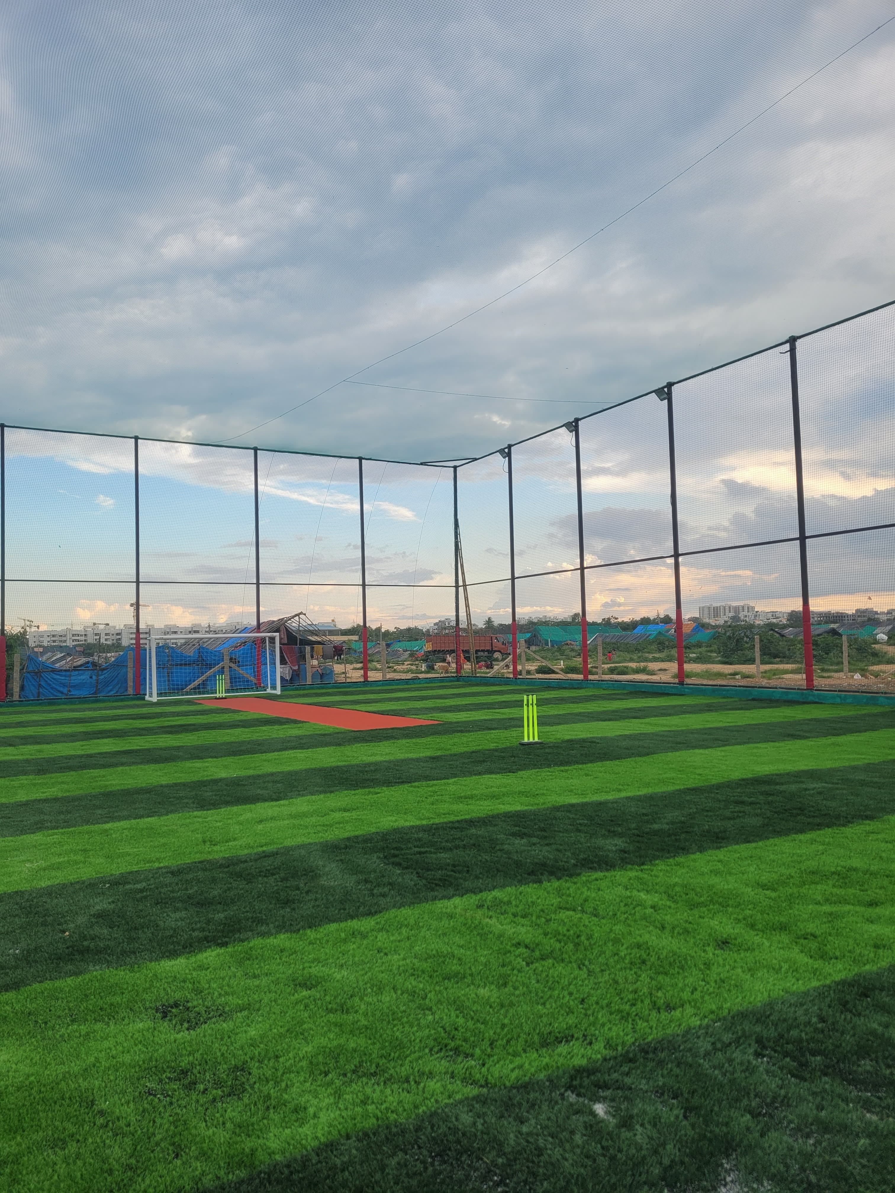 Turf photo 5