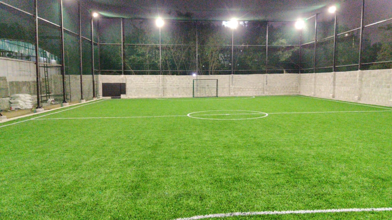 Turf photo 12