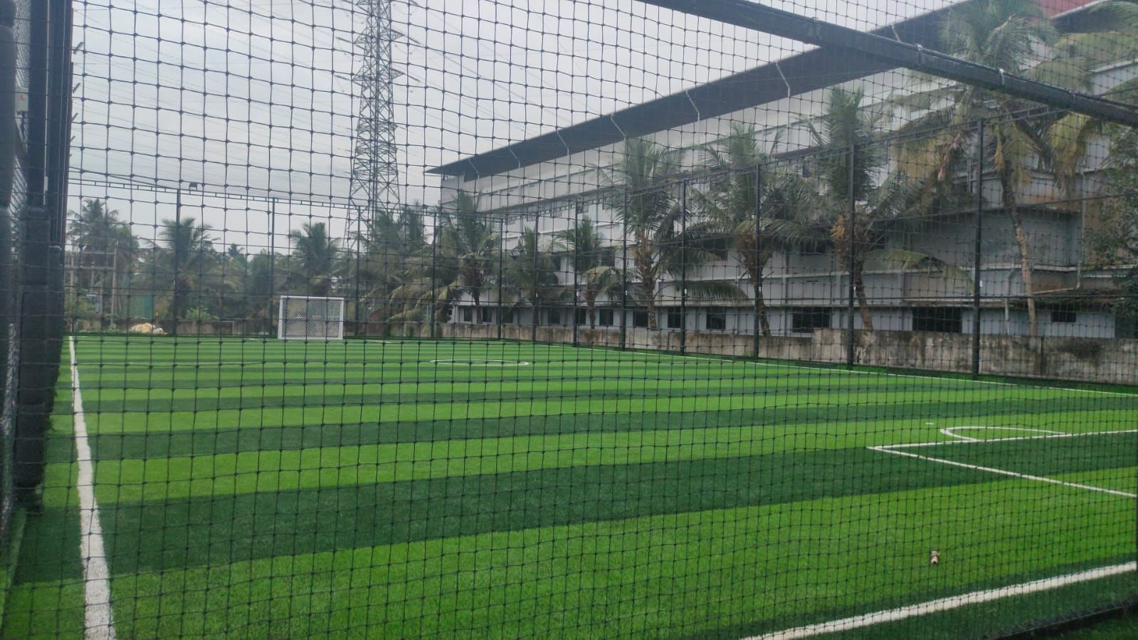 Plaza Sports Academy