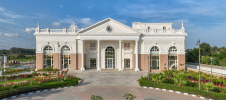 Prestige Club Marigold