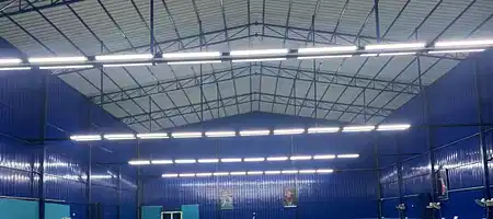 Pro Badminton Arena