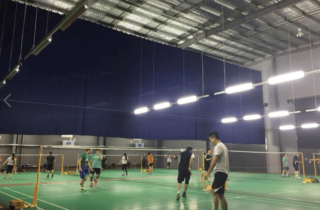 Pro Fit Badminton