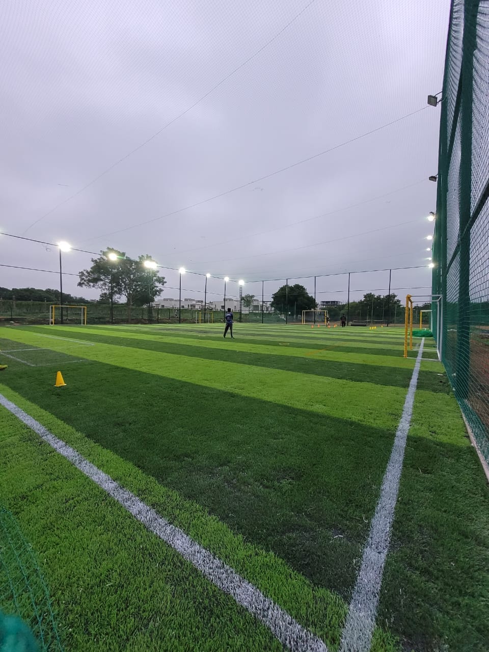 Turf photo 10