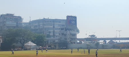 Pro King Cricket Academy