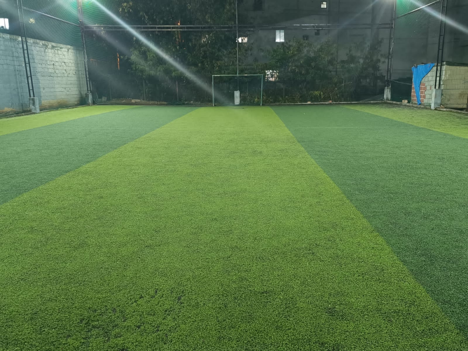 ProLegacy Sports Academy