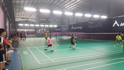 Pro One Badminton Court