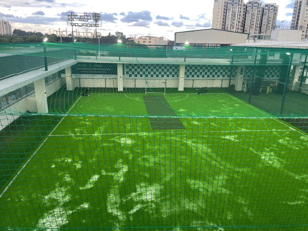 Turf photo 5