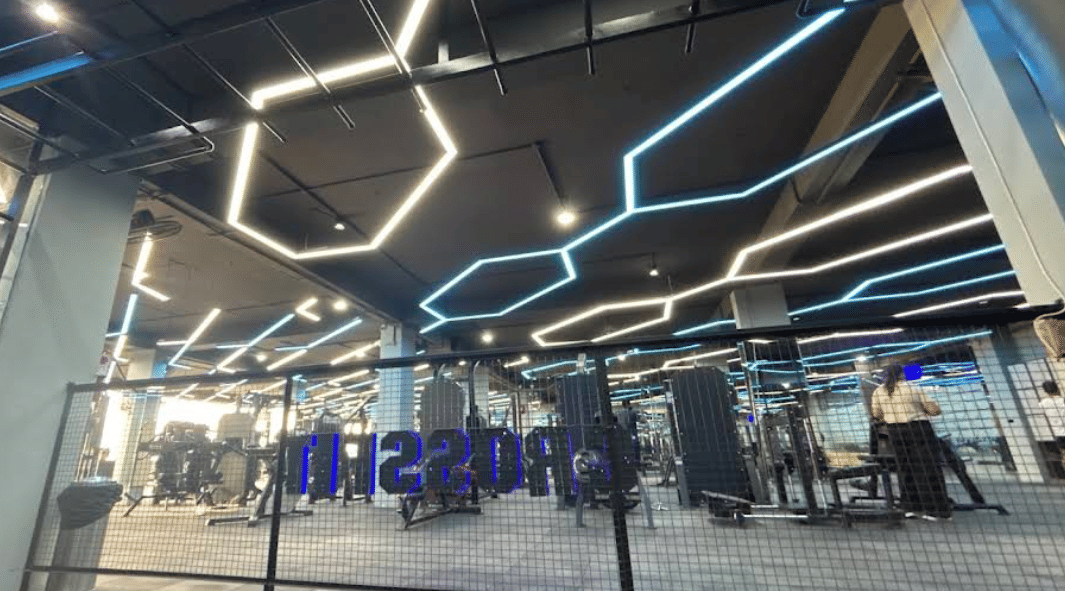 Pro Ultimate Gyms