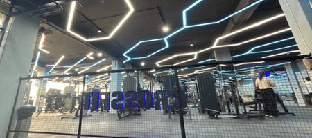 Pro Ultimate Gyms