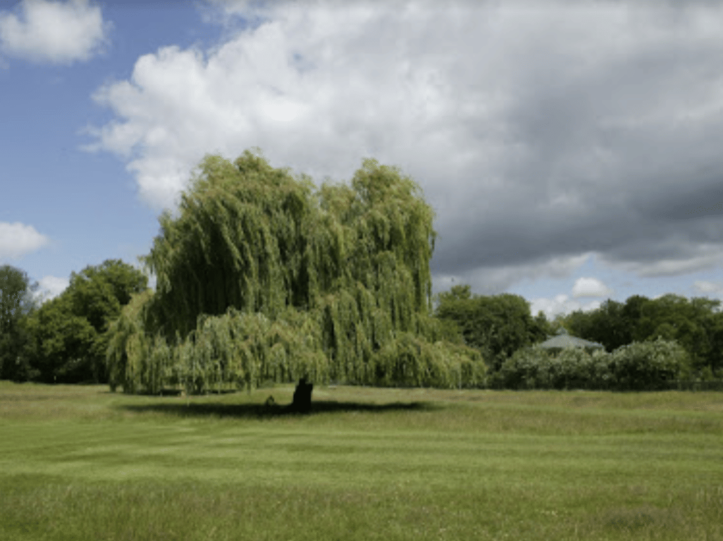Queen's Park