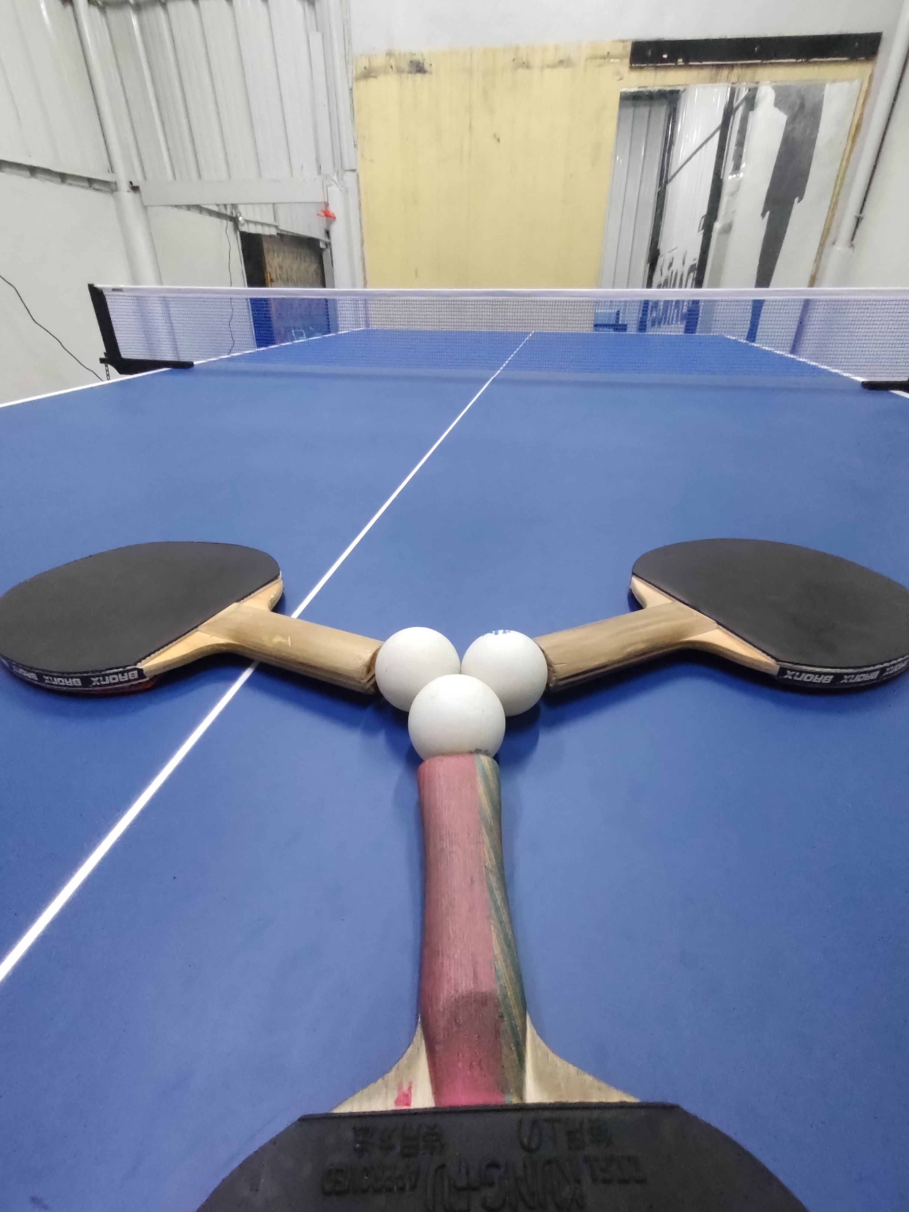 Raj Sports Table Tennis