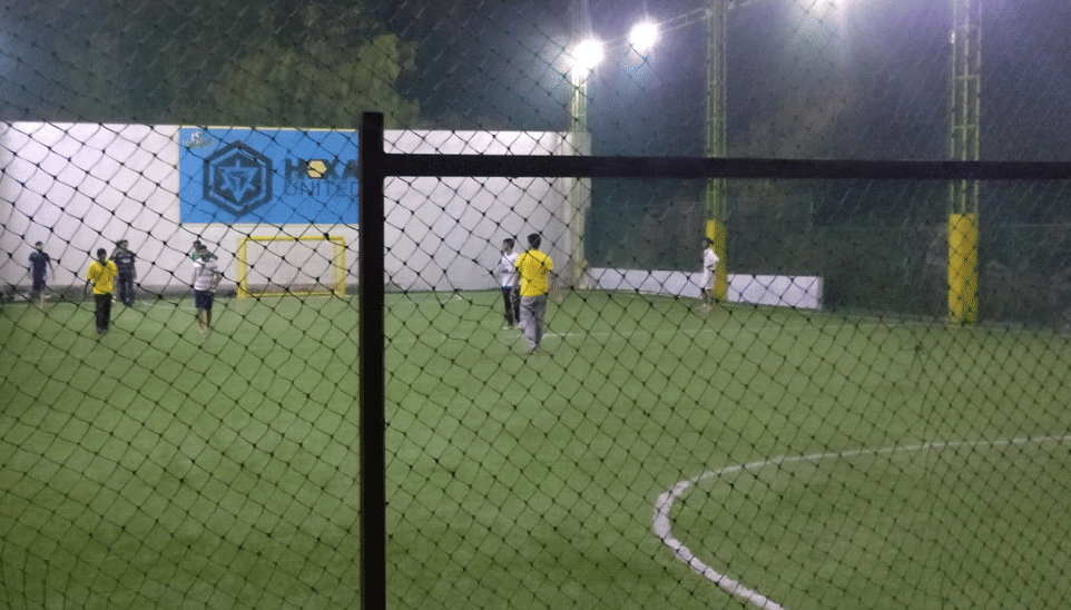 Turf photo 10