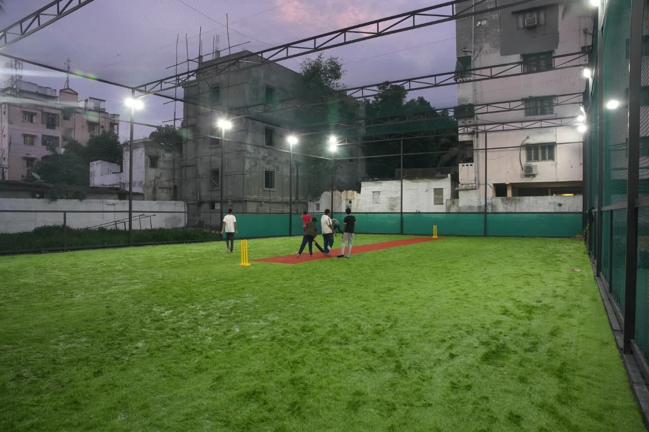 Turf photo 7