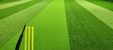 Raxon Cricket Arena