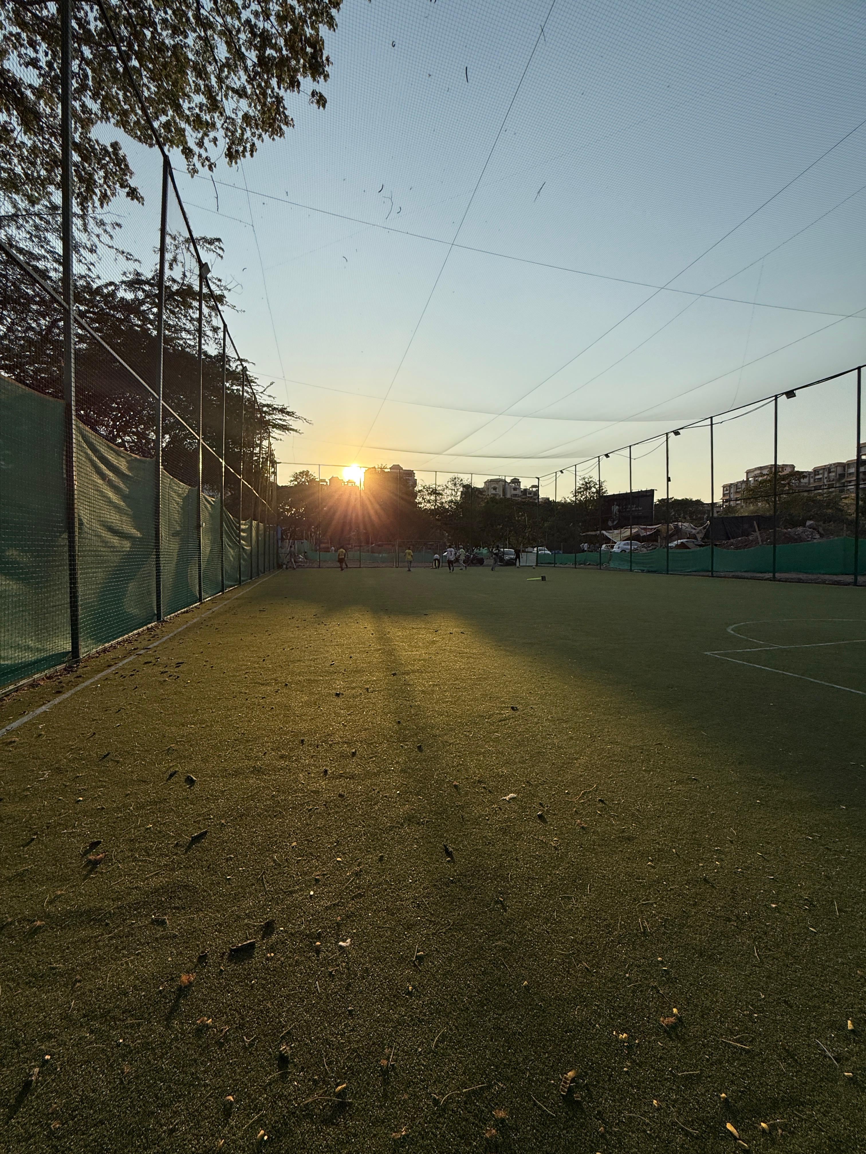 Turf photo 8