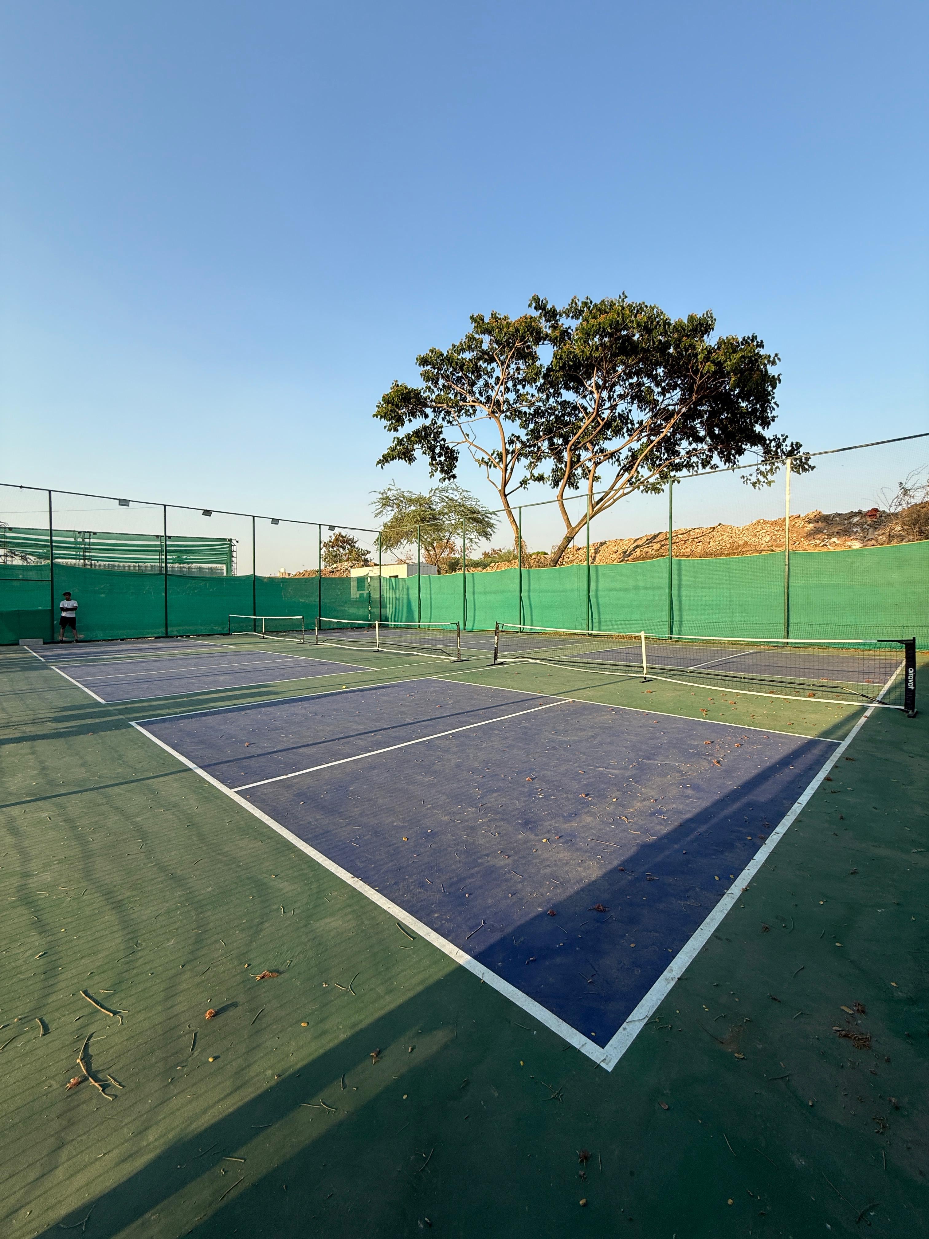 Turf photo 9