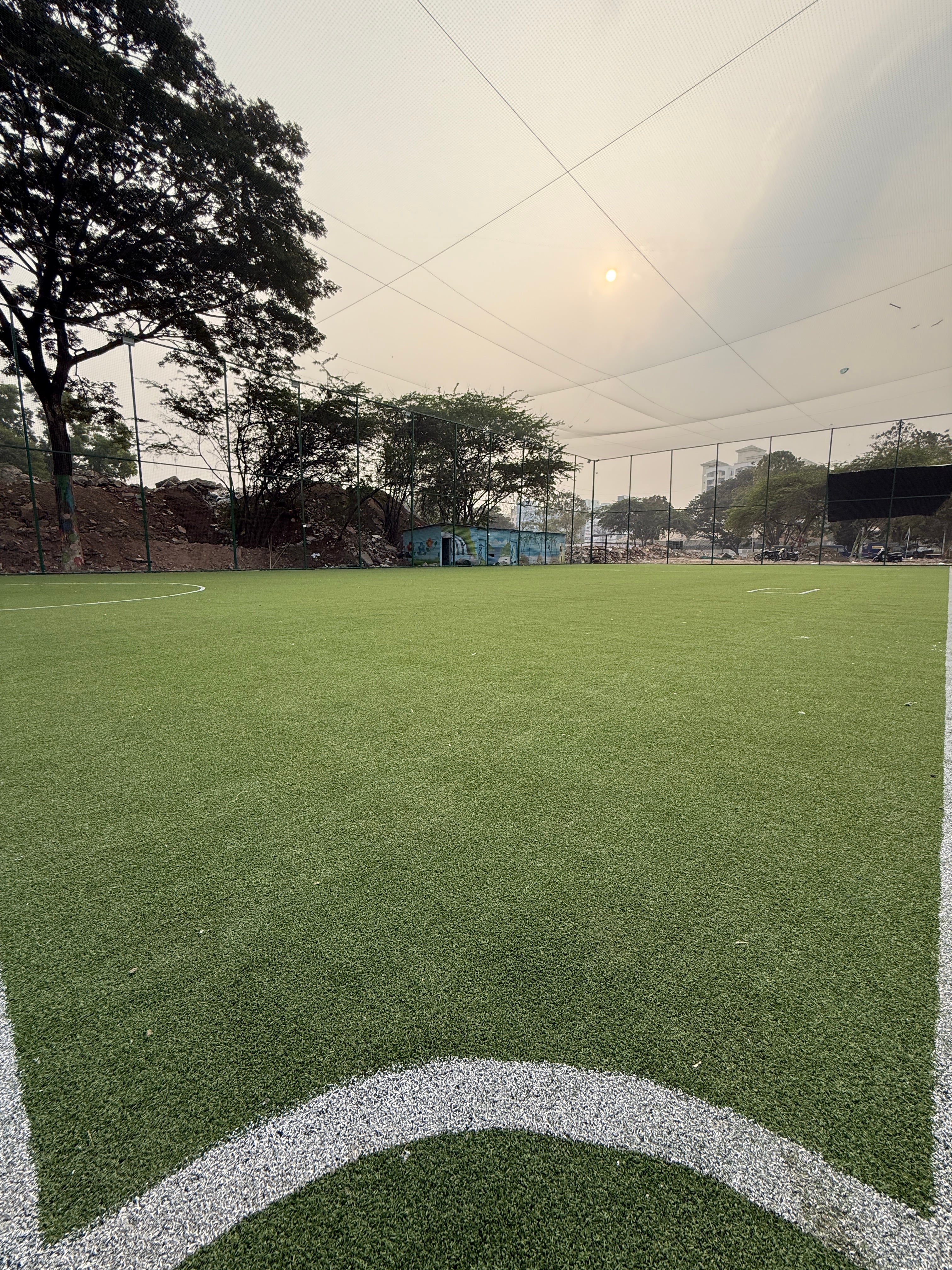 Turf photo 11