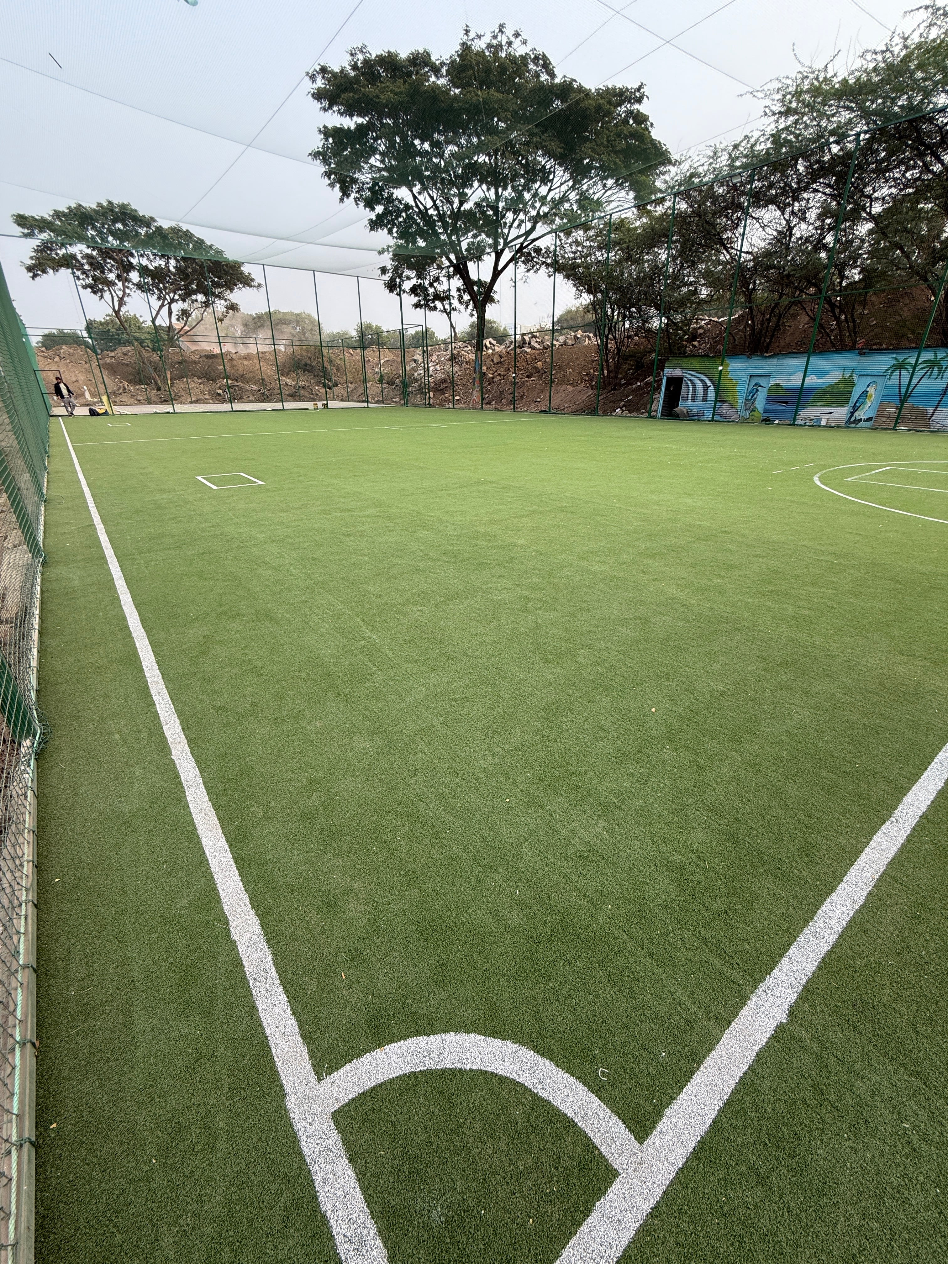 Turf photo 12