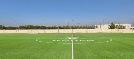 Real Madrid World Football Pitch