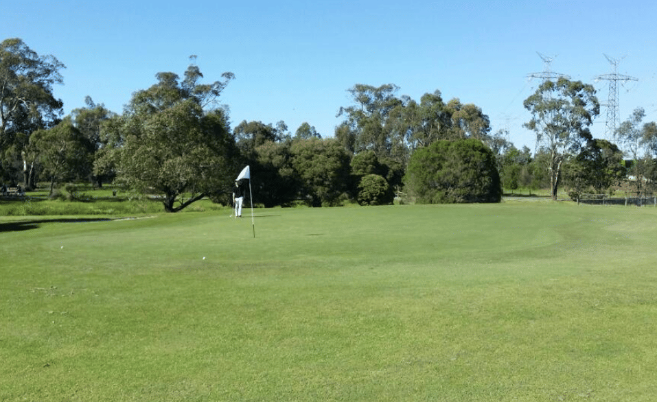Ringwood Golf