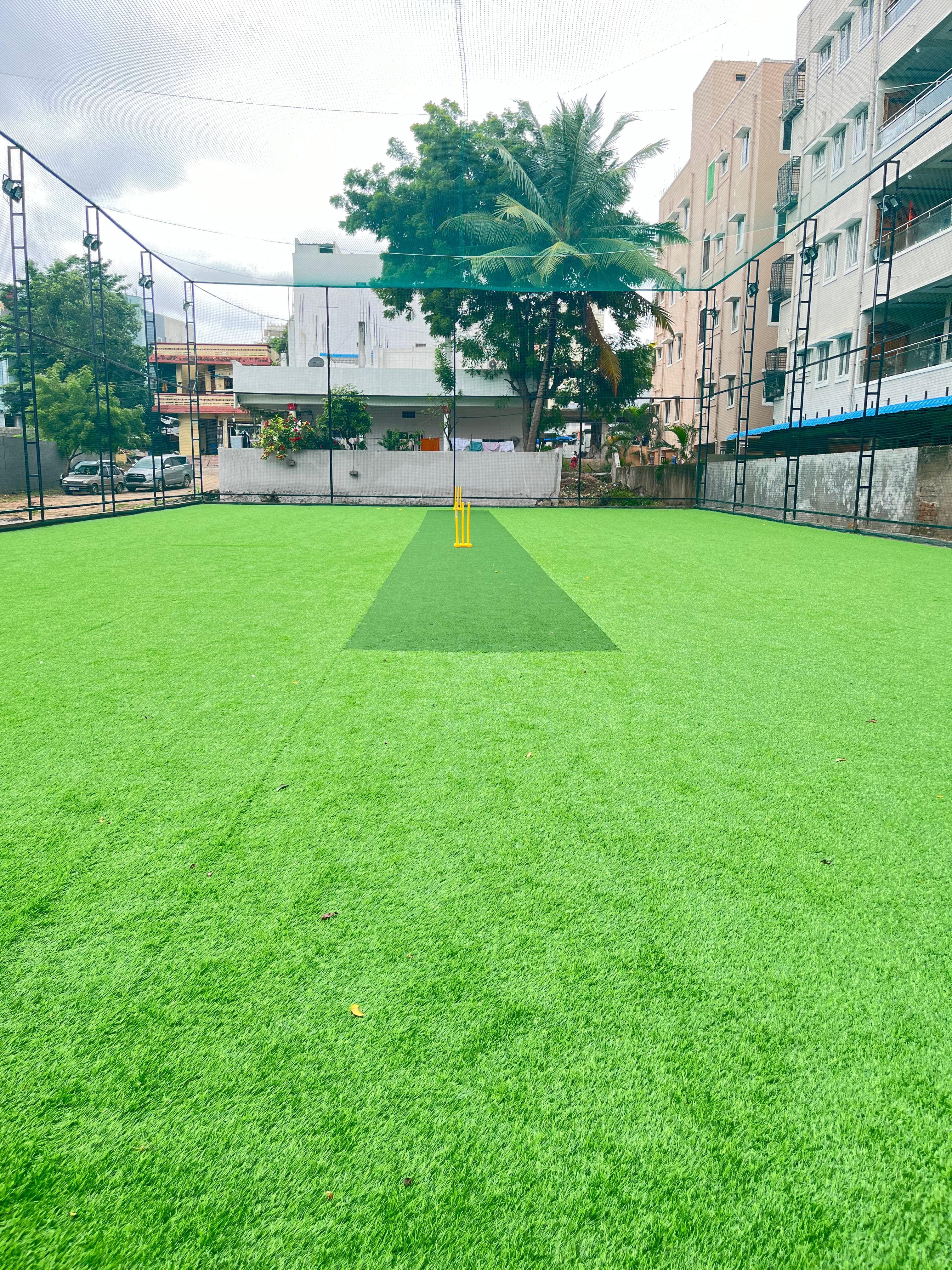 Rise & Reign Box-Cricket