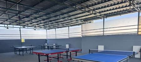 Rooftop Table Tennis