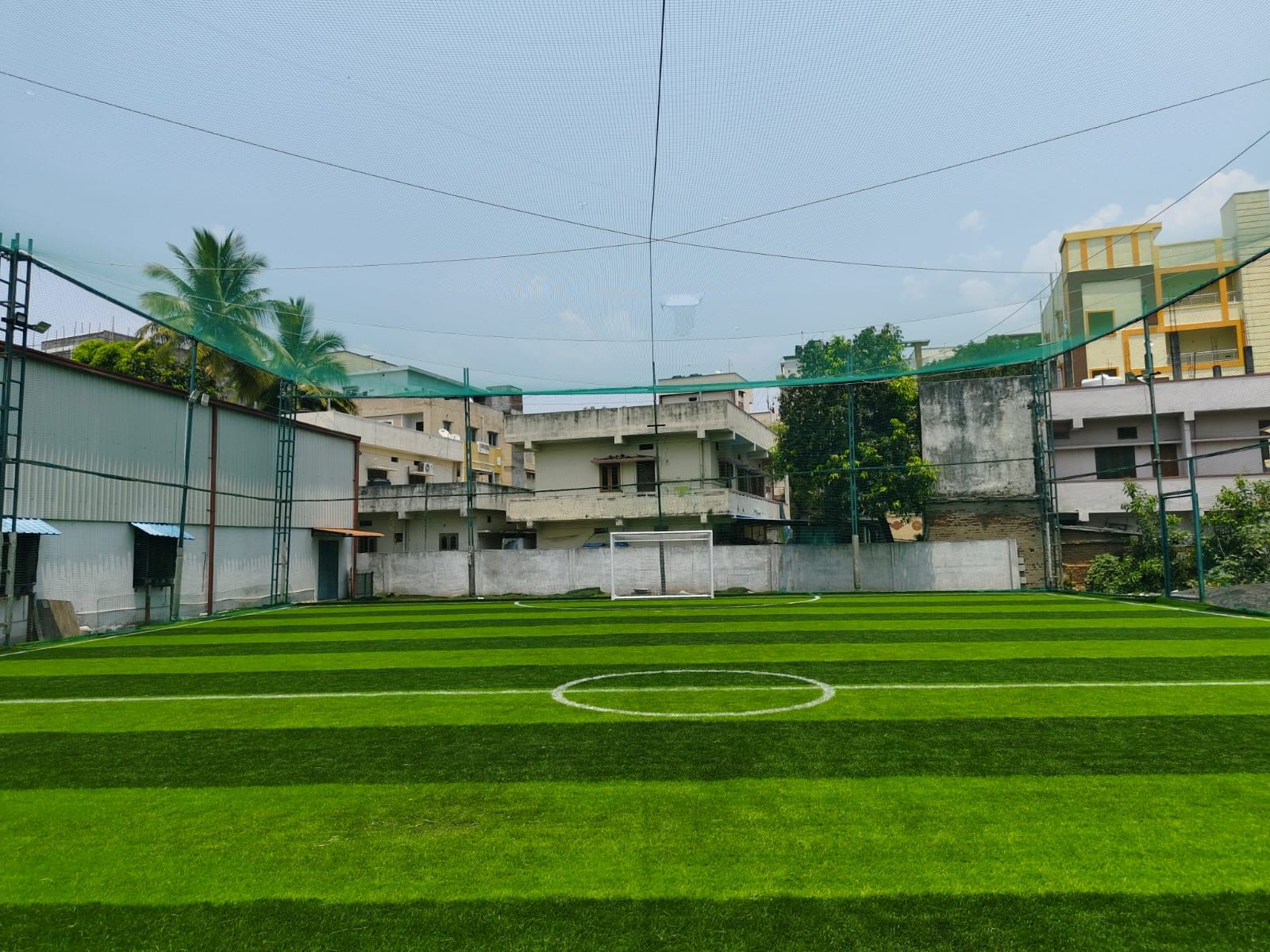 Rovers Champions Turf