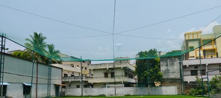 Rovers Champions Turf