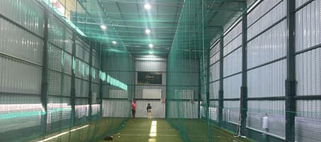 Roviz X Crease Cricket