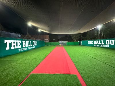 The Ball - Out Turf Cricket