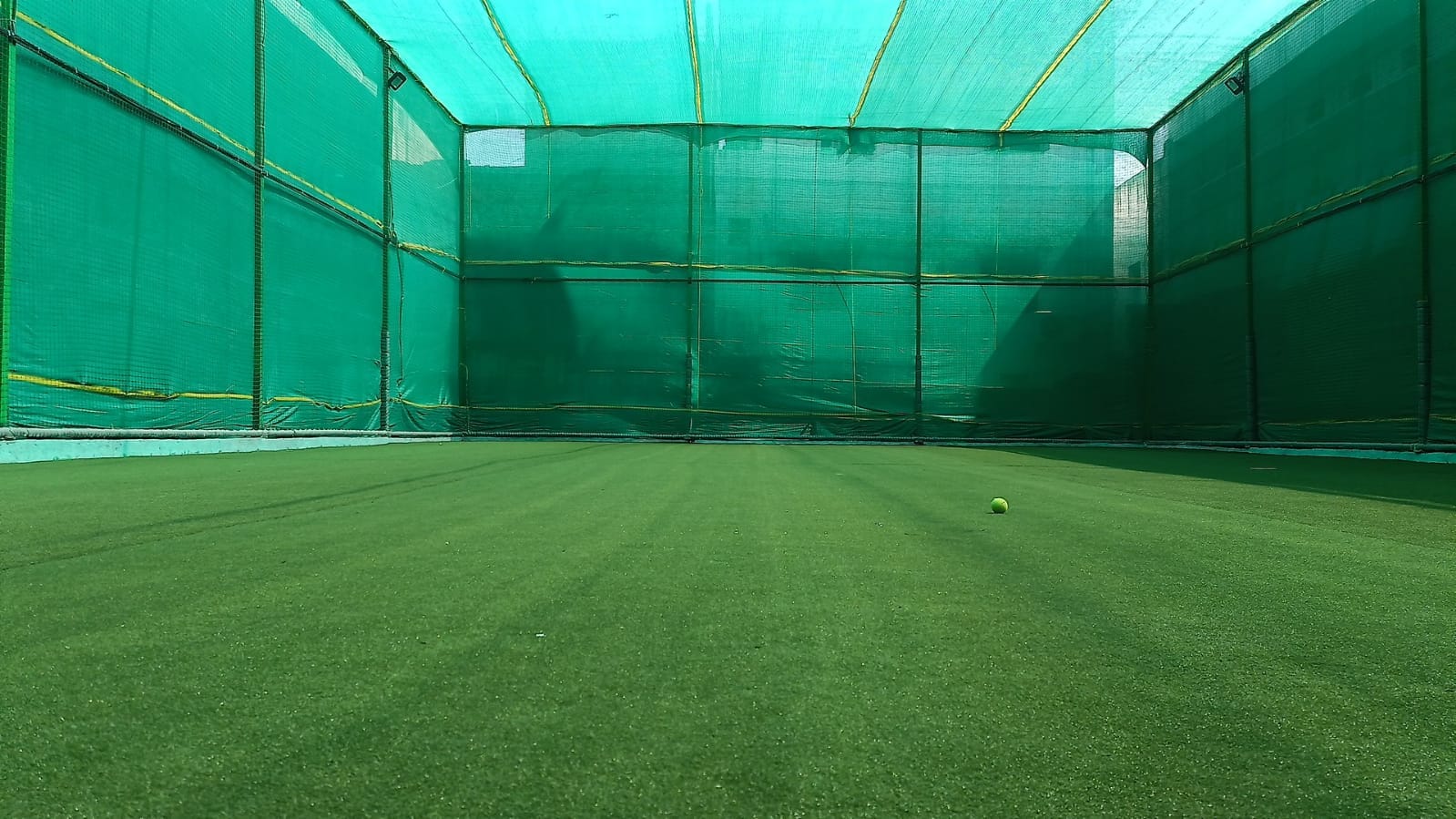 Turf photo 6