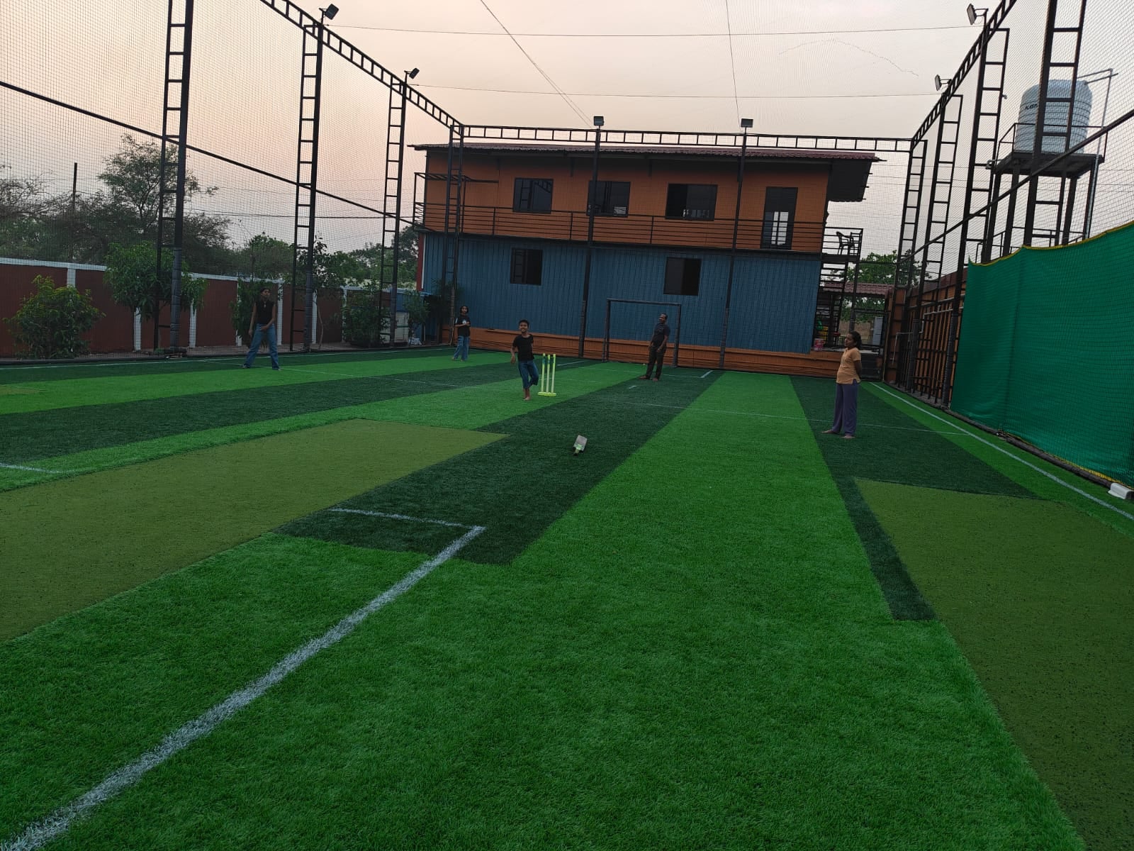 Turf photo 2