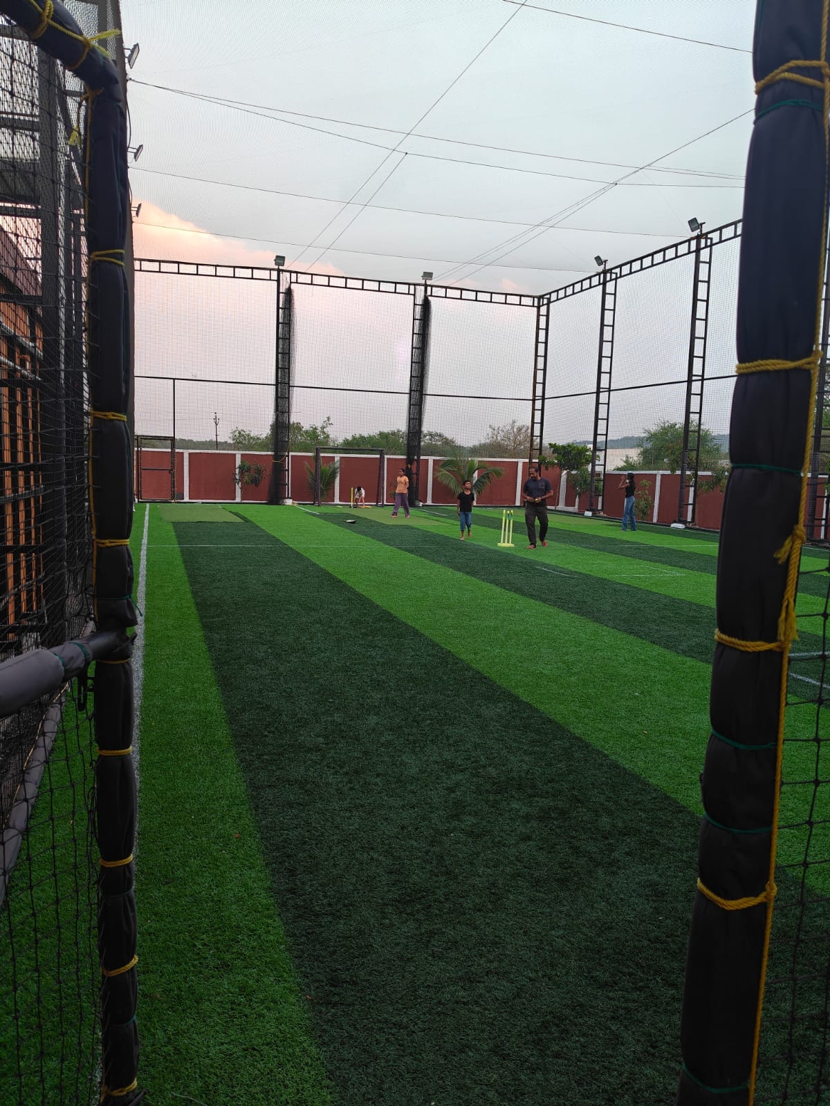Turf photo 3