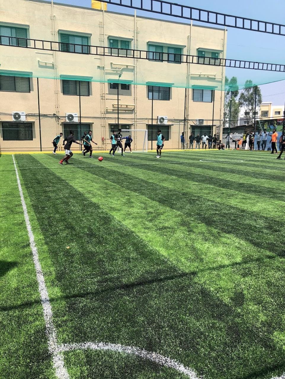 Turf photo 7