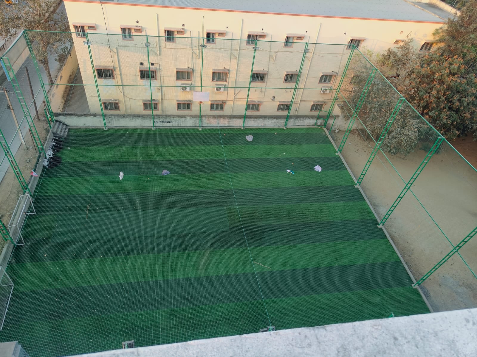 Turf photo 7