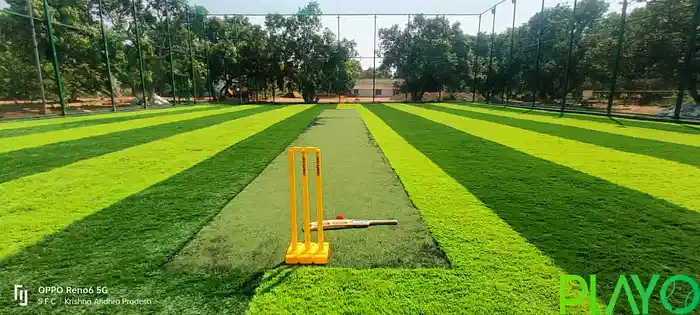 Samrajya Box Cricket image