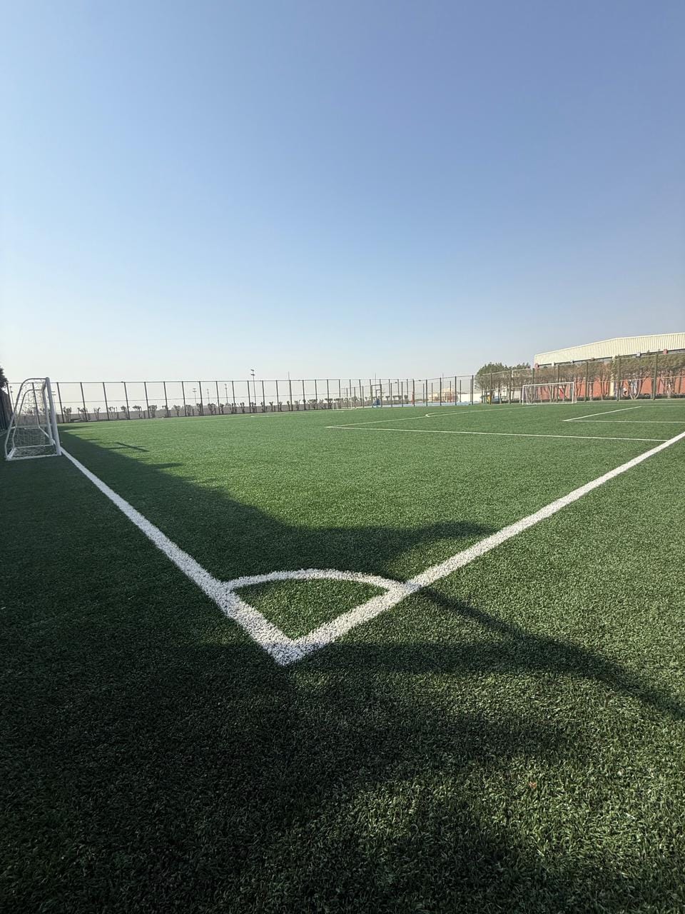 SAS Academy @Australian International School