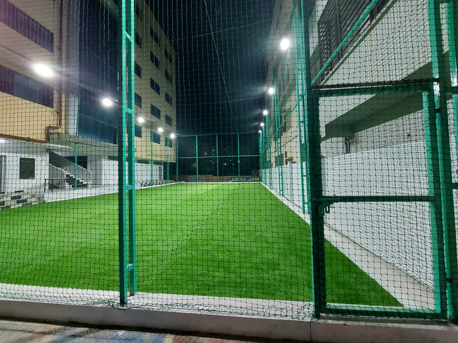 Turf photo 6