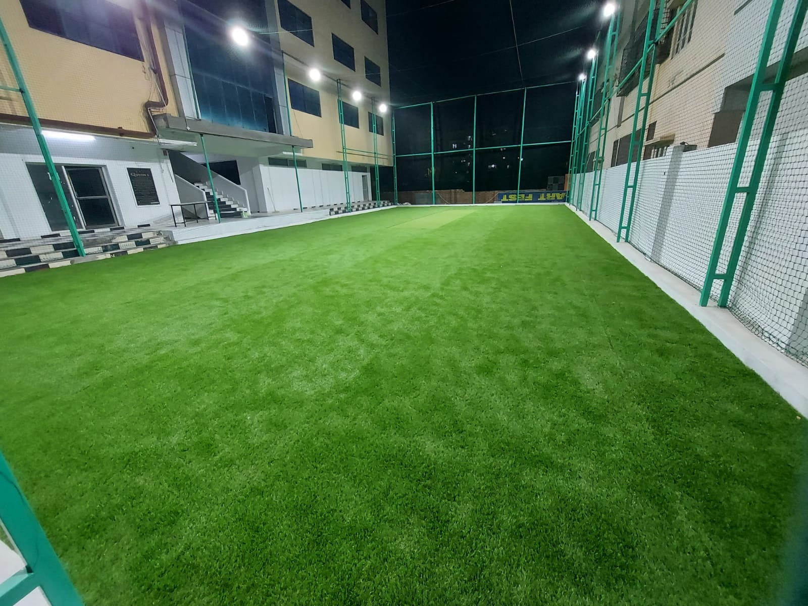 Turf photo 8