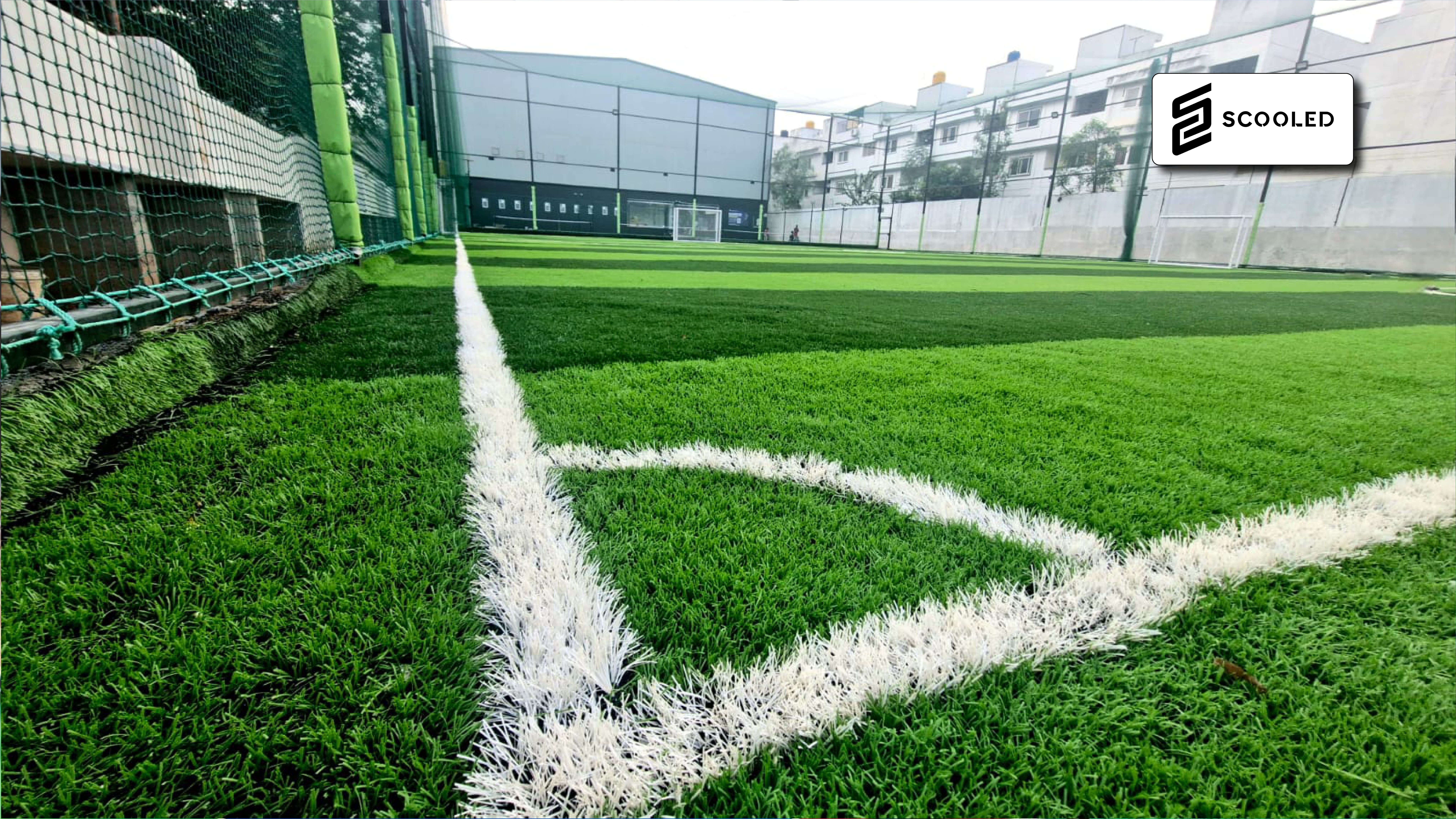 Turf photo 3