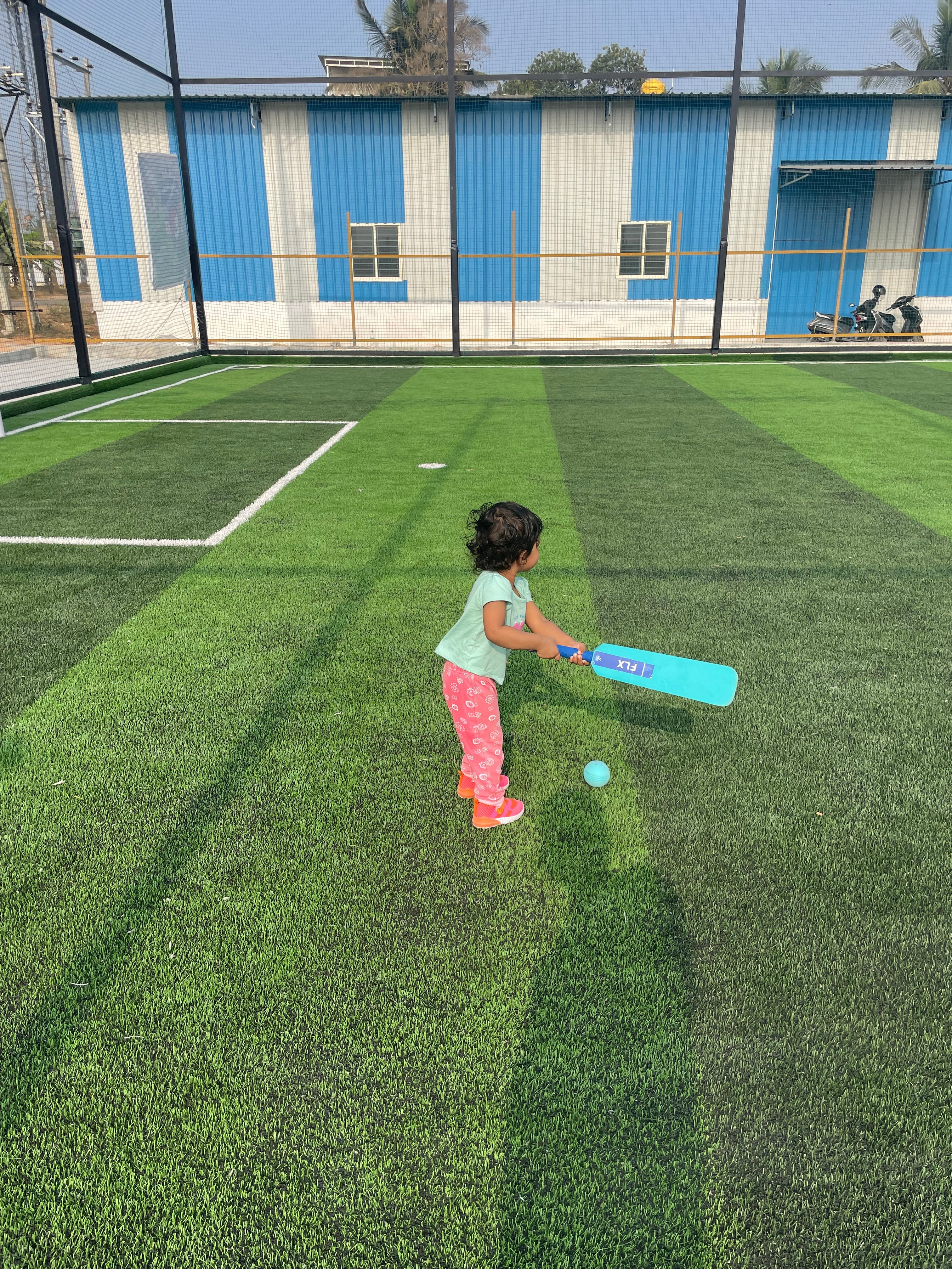 Turf photo 6
